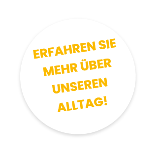 Button mit Text "Erfahren Sie mehr über unseren Alltag"