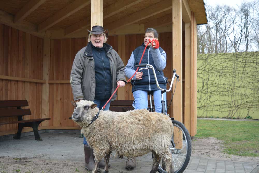 Zwei Menschen mit einem Schaf an der Leine